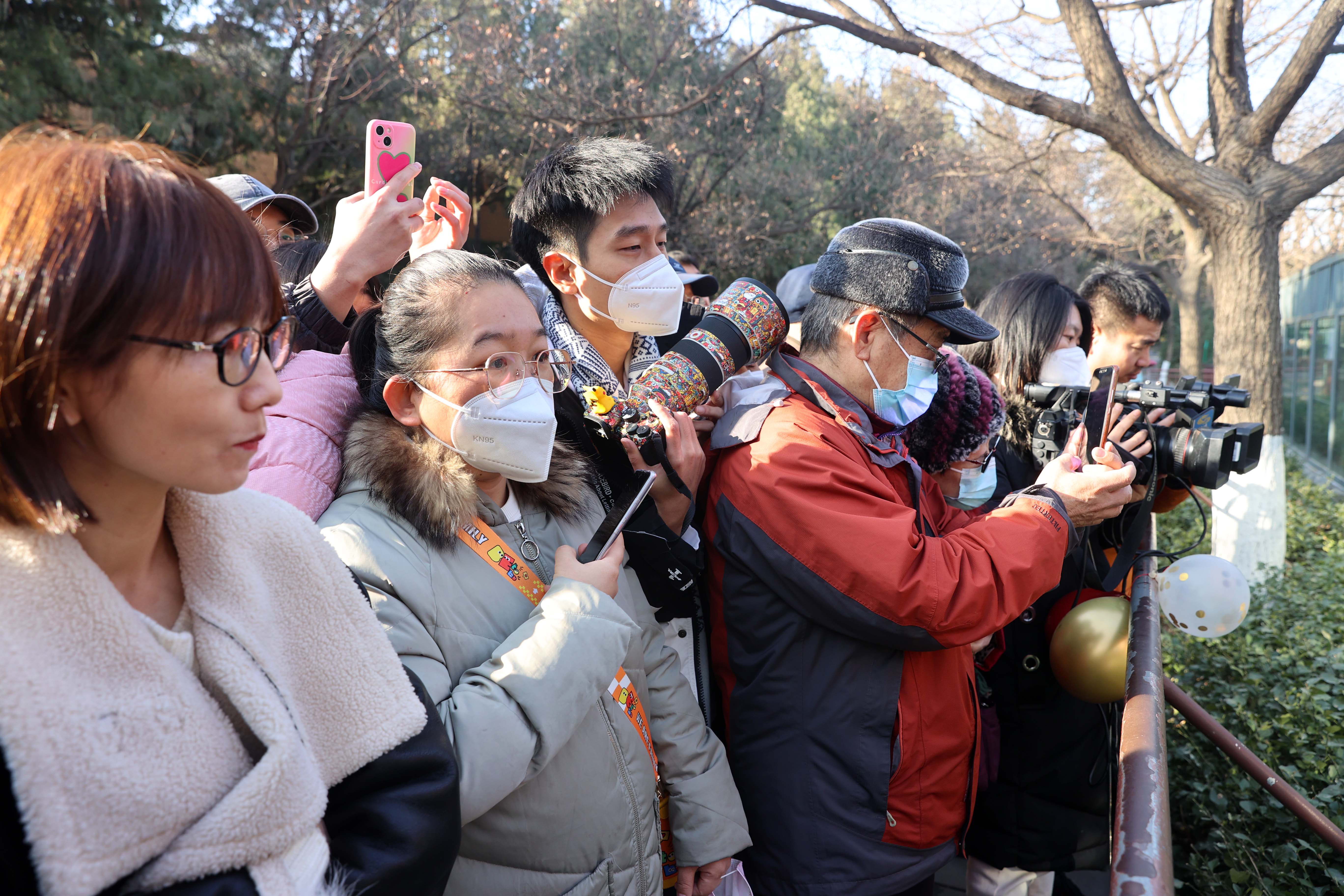 动物园里好热闹 天津豹济南喜“成亲”