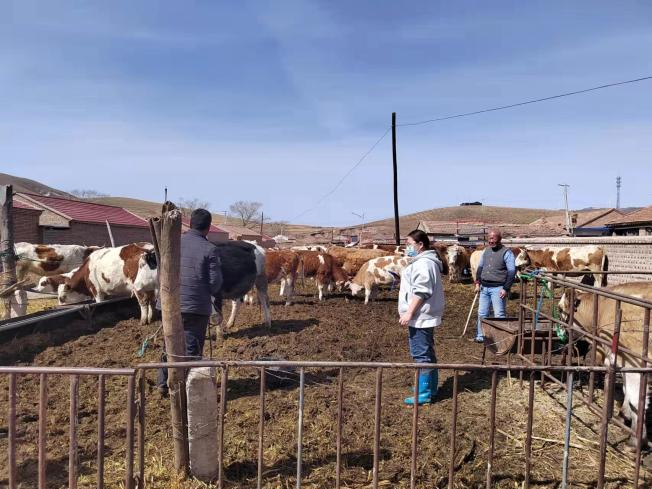 让阳光温暖脚下热土