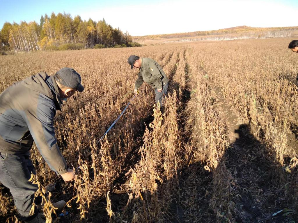 让阳光温暖脚下热土