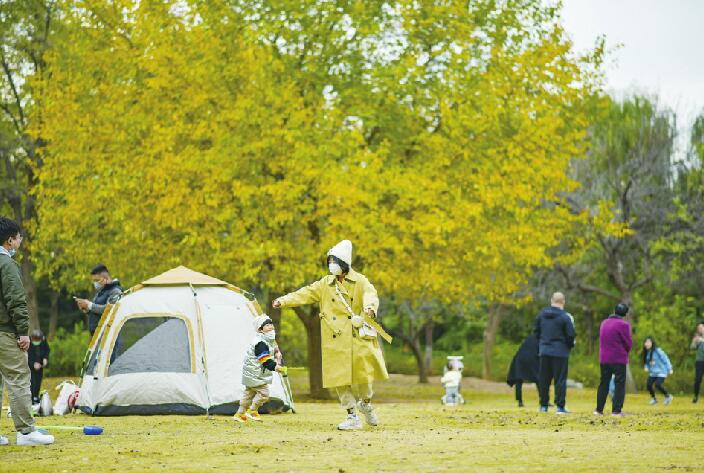 露营有地方了！“共享公园绿地”将开放