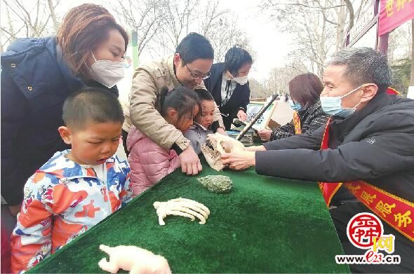 世界野生动植物日，它们“野”需要被温柔以待