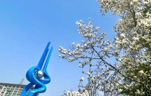 Die Temperatur steigt und der Frühling kommt in Quellenstadt an