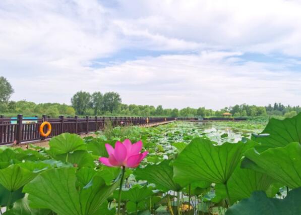 Shandong baut erfolgreich 2.500 provinzielle Modelldörfer mit schönen Landschaften auf