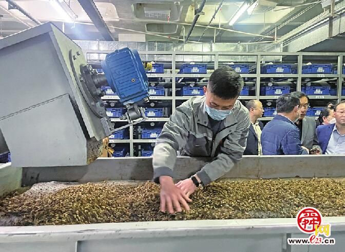 探访国内首个“5G+机器人”自动化生物厨余垃圾利用项目 厨余垃圾就地“变身”蛋白虫、有机肥