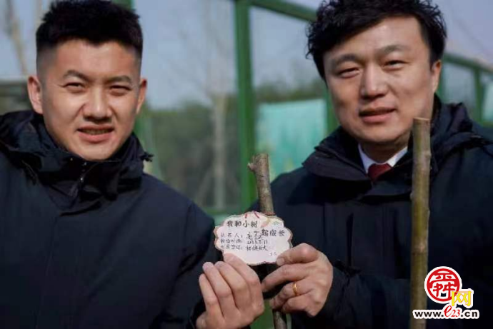 “植”此青绿！济南公交干线扮“靓”熊猫馆