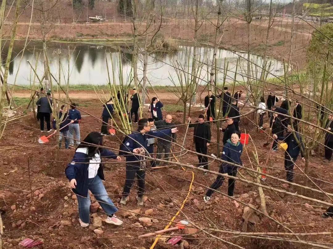 绿色未来 安联守护 安联人寿“未来之星”公益林在四川蓬溪正式落成