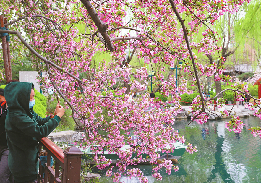 Begonien blühen in Wulongtan in wunderschönem Frühling