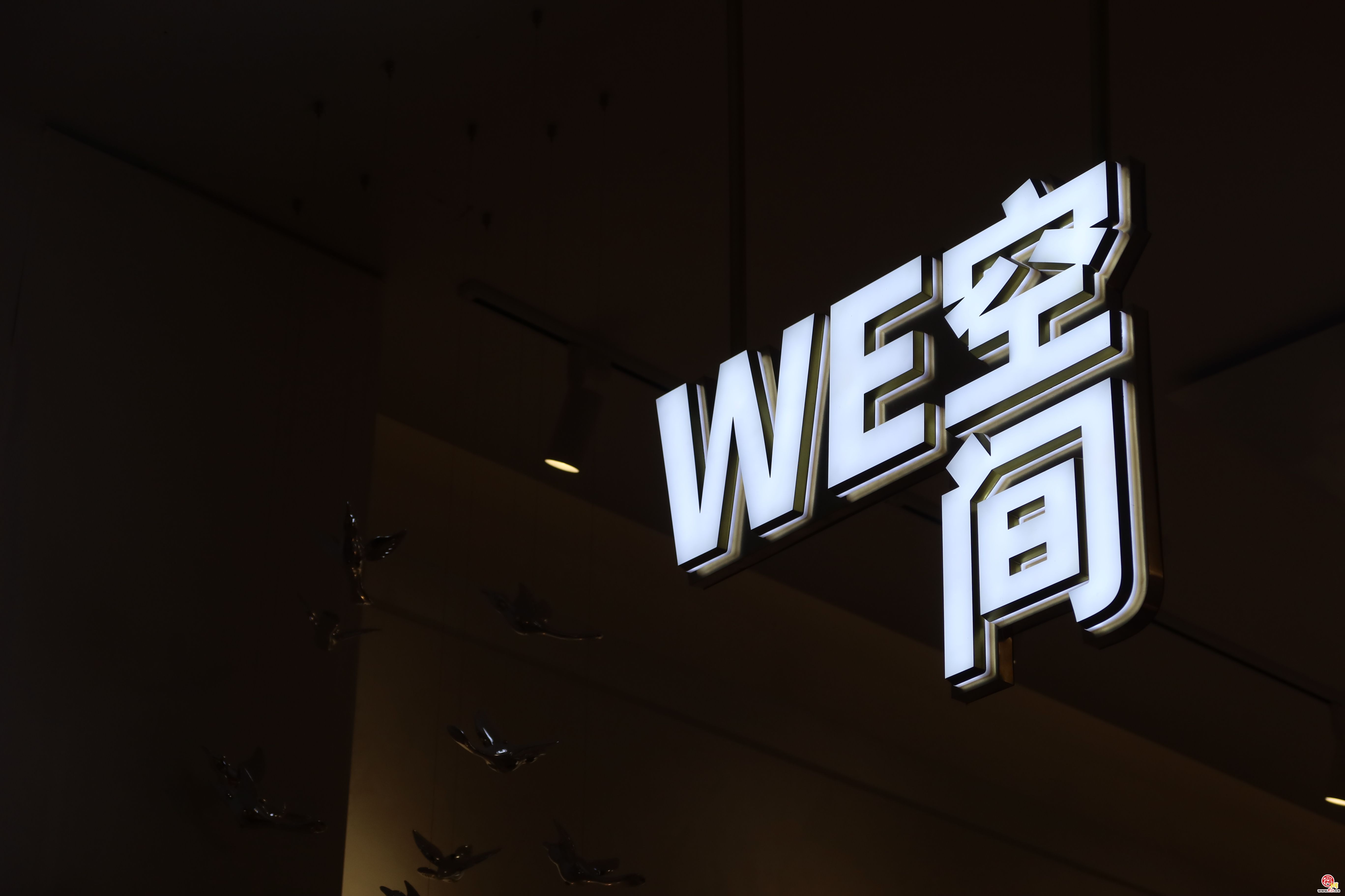 融媒·先锋丨一小时的休息间隙，50平方米的党建空间，把这群年轻就业者聚在了一起——午间“圆桌派”