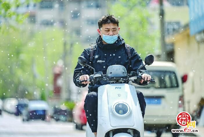 济南将城区24.5万株飘絮树列为防治重点 140余处飘絮源头区域将有专人监测