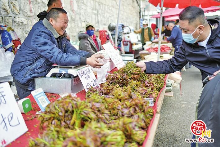“春天限量版”野菜上市最贵的每斤售价15元