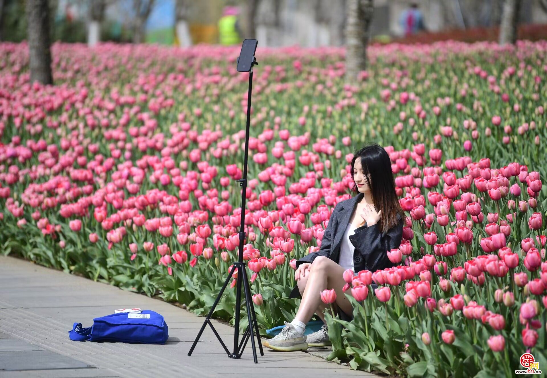 花期提前，最美花海“郁”你相伴