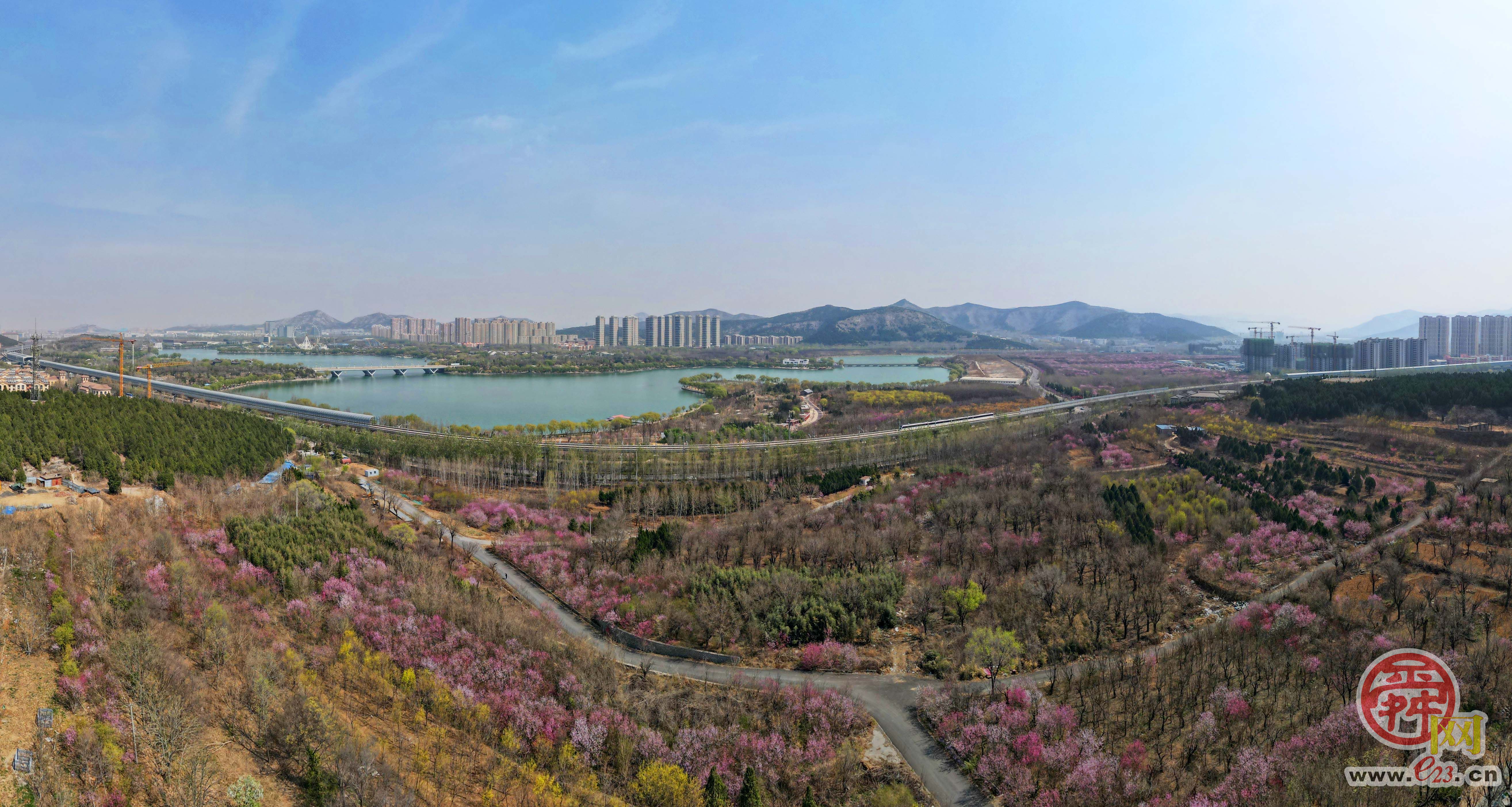风光旖旎，穿行花海入画来！济南版“开往春天的列车”