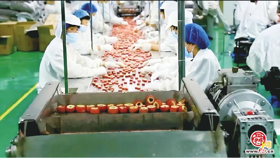 济南小山村成全国最大山楂加工集散地 脱水山楂干市场占有率超五成