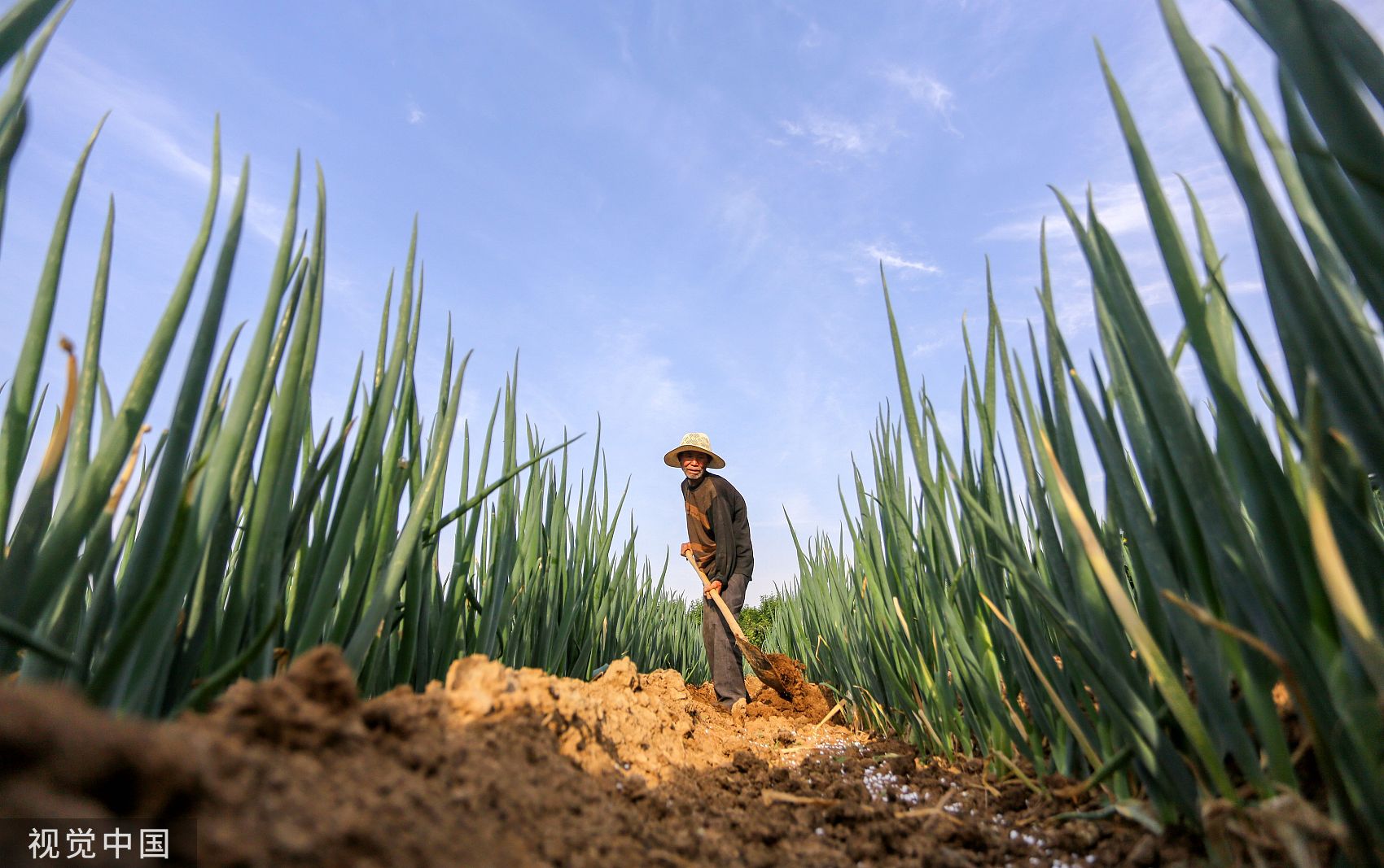 济南市供销合作社 全力保障春耕农资供应