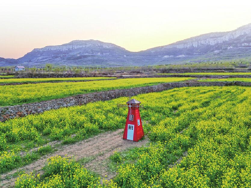 济南：花香醉人满城春