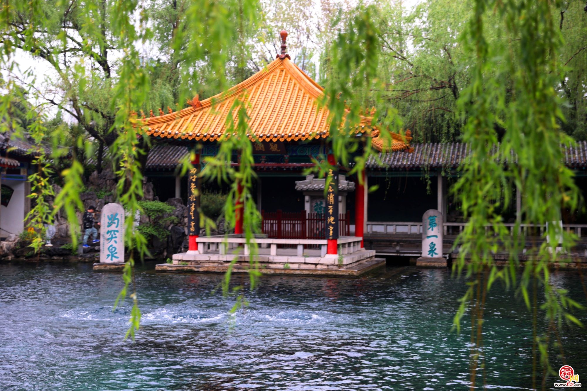 趵眼｜山东旅游火爆出圈，如何让“网红济南”长红？