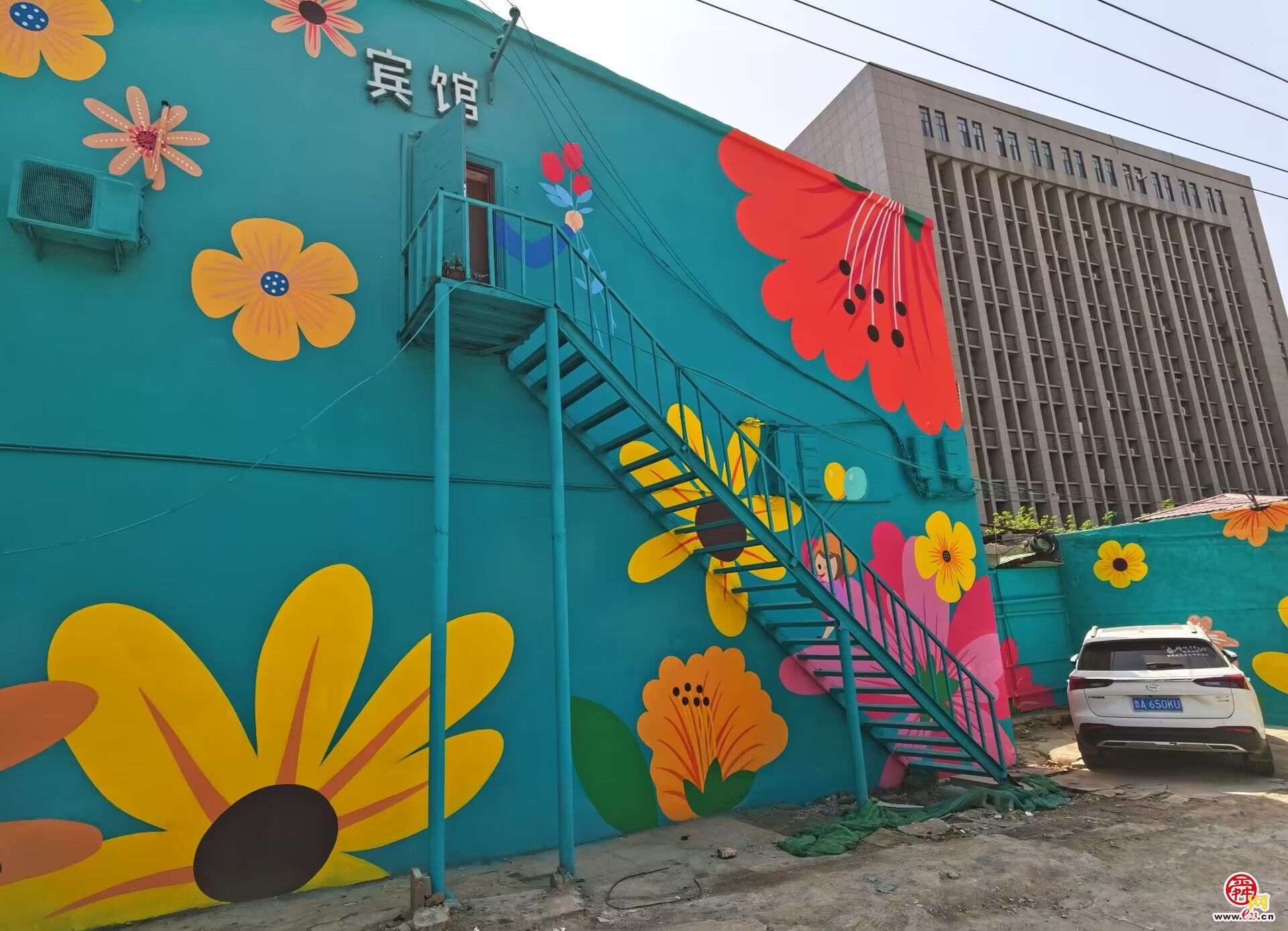 太浪漫了，济南有条“铺满鲜花”的路!