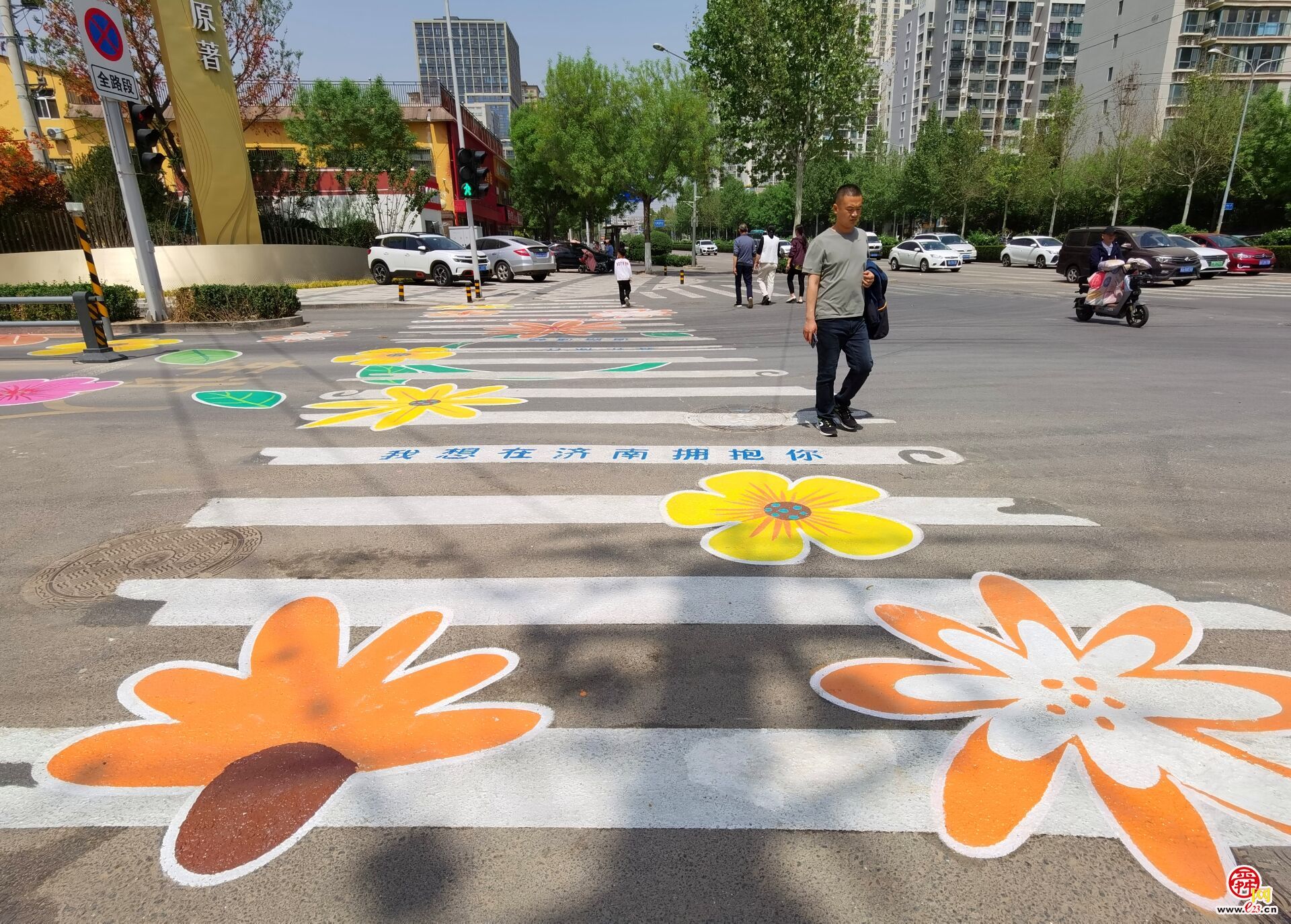 太浪漫了，济南有条“铺满鲜花”的路!