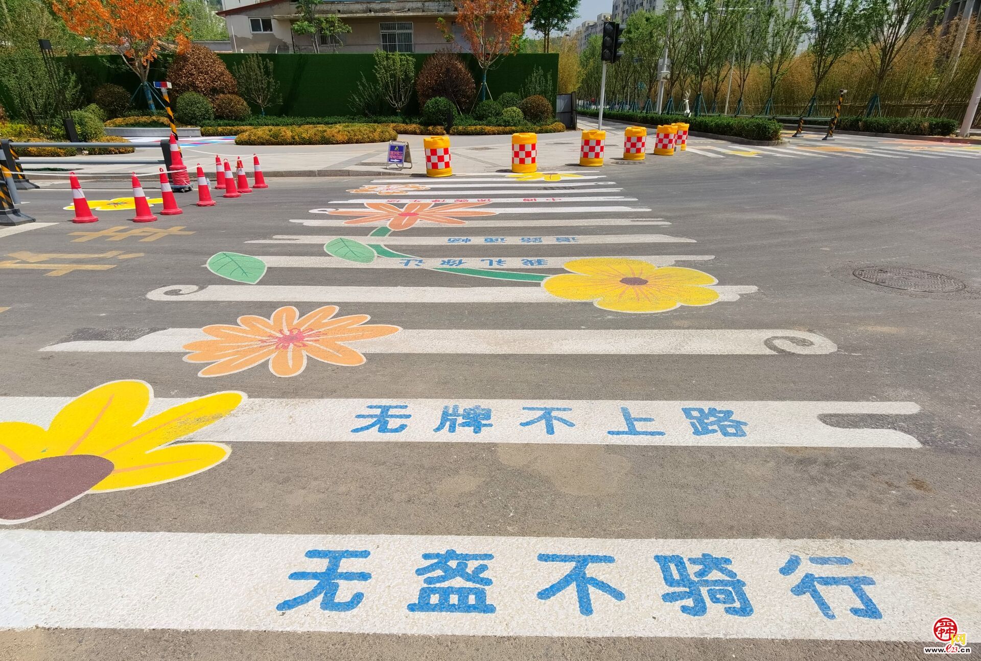 太浪漫了，济南有条“铺满鲜花”的路!