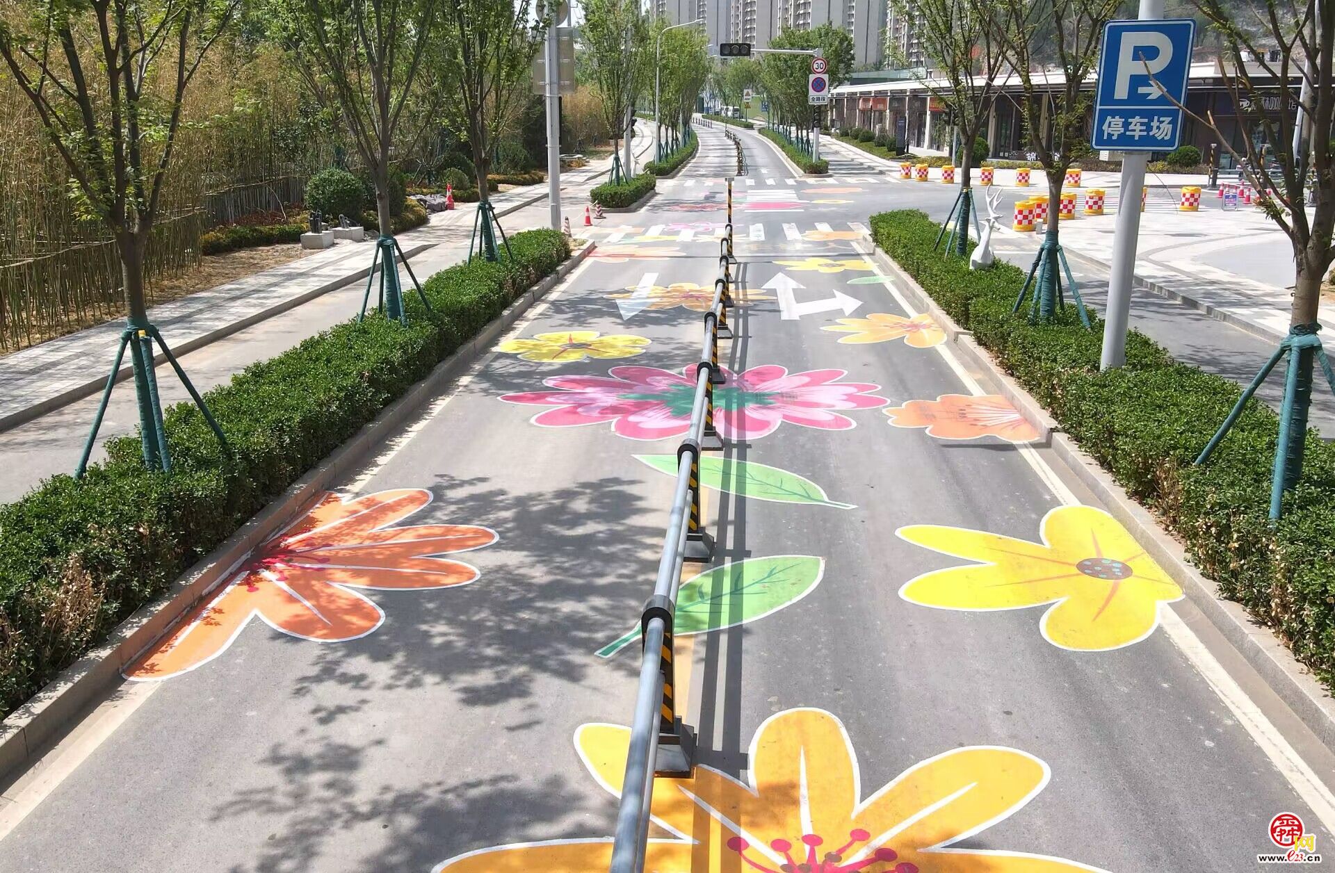 太浪漫了，济南有条“铺满鲜花”的路!