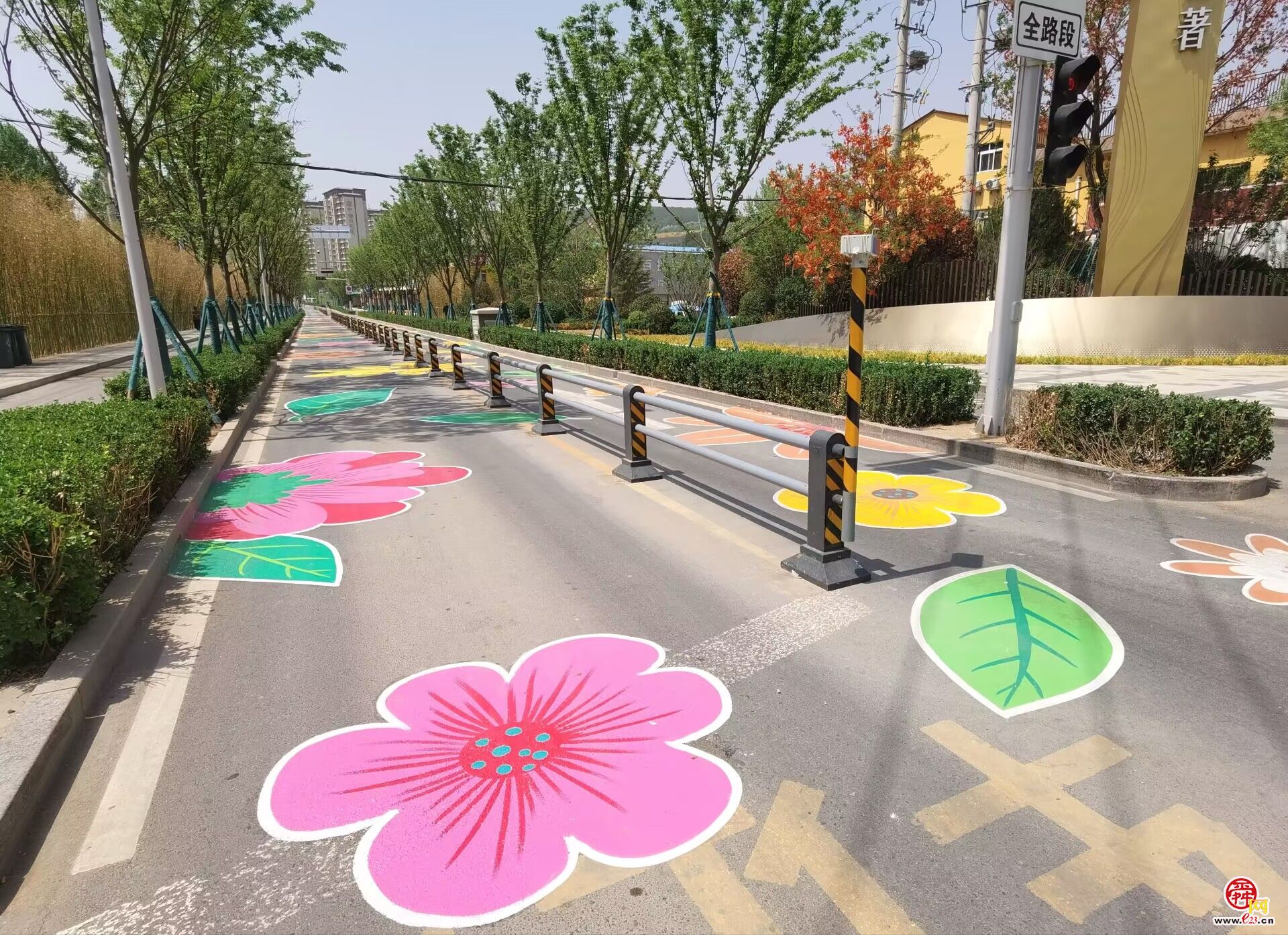 太浪漫了，济南有条“铺满鲜花”的路!