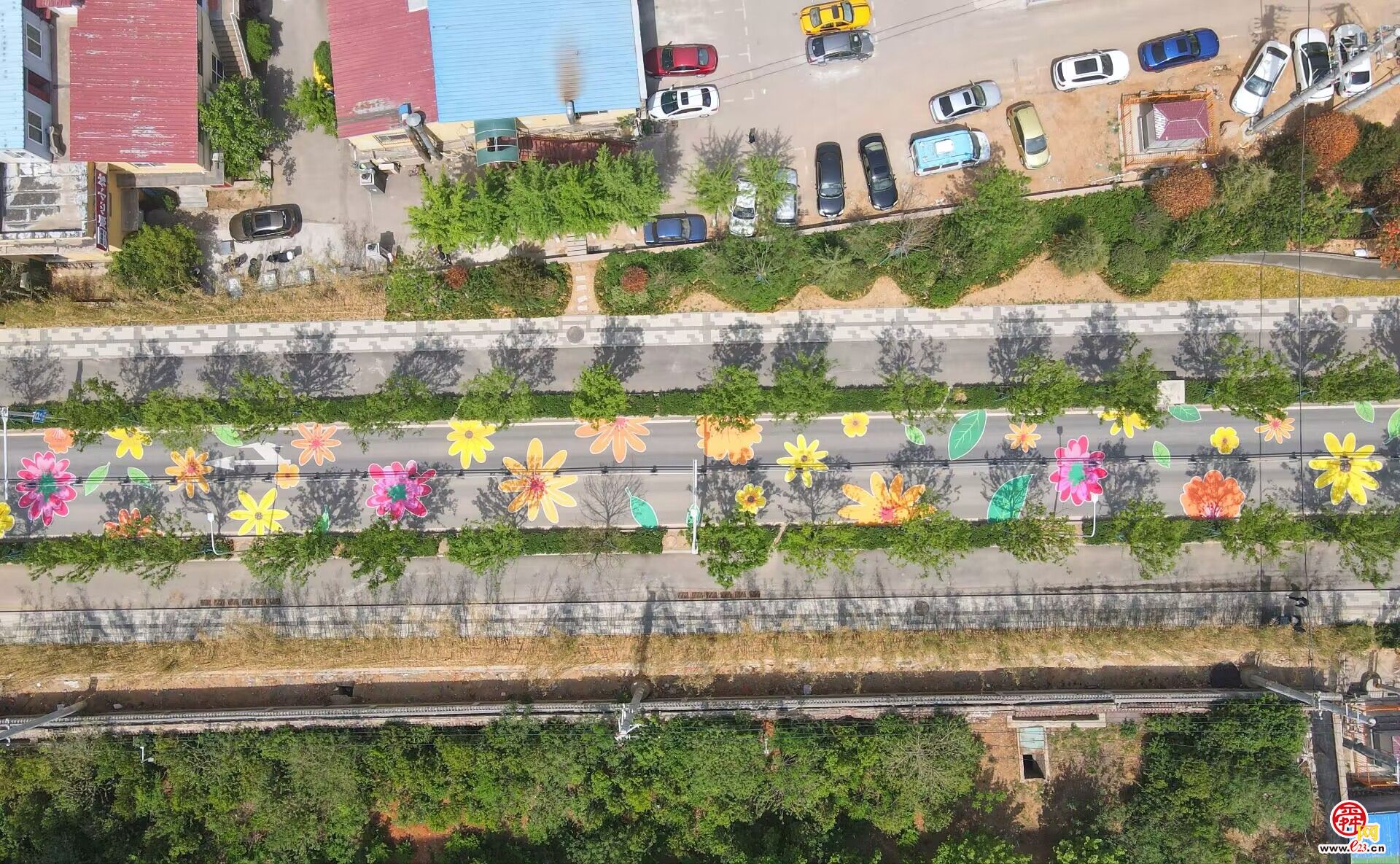 太浪漫了，济南有条“铺满鲜花”的路!