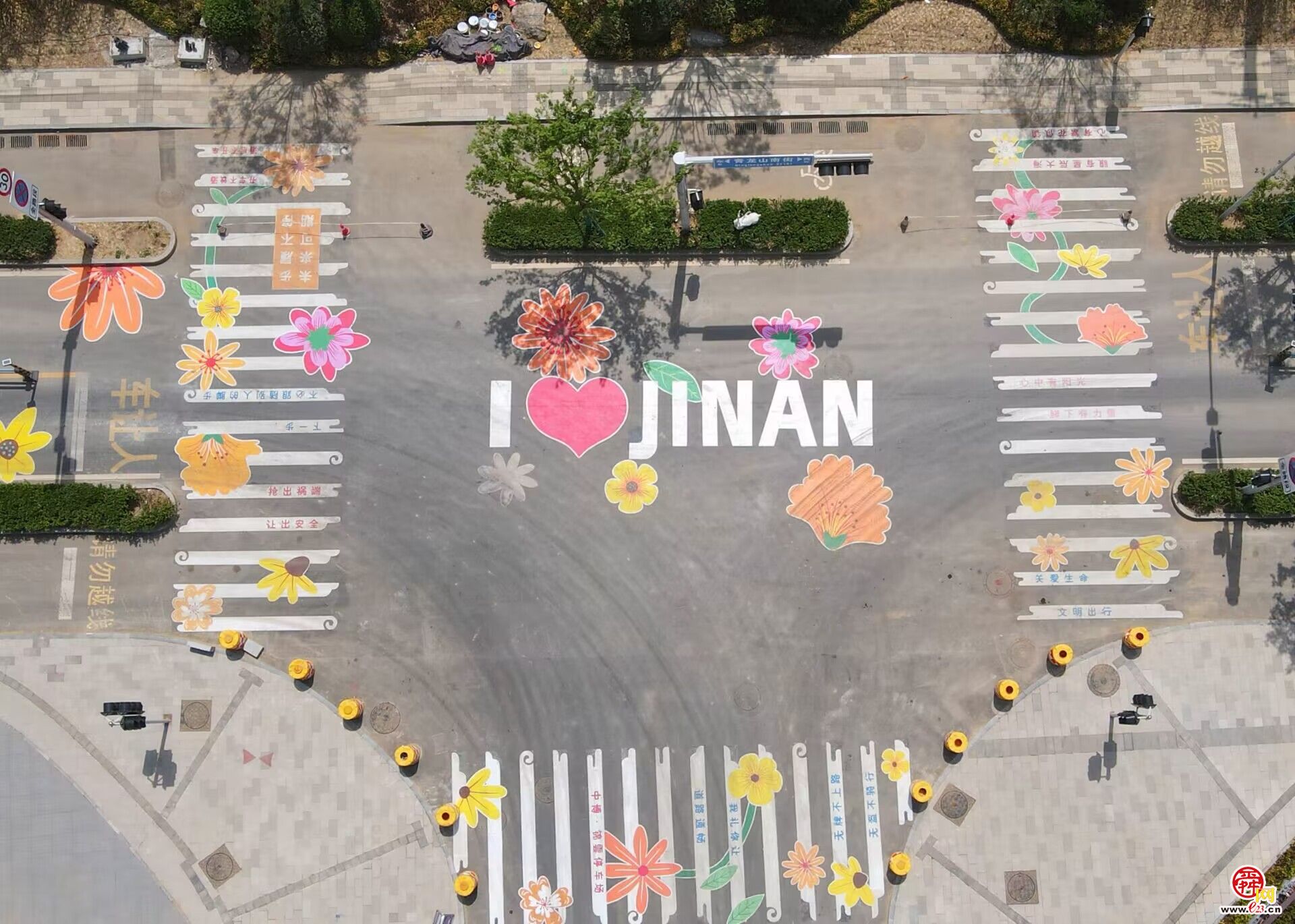 太浪漫了，济南有条“铺满鲜花”的路!