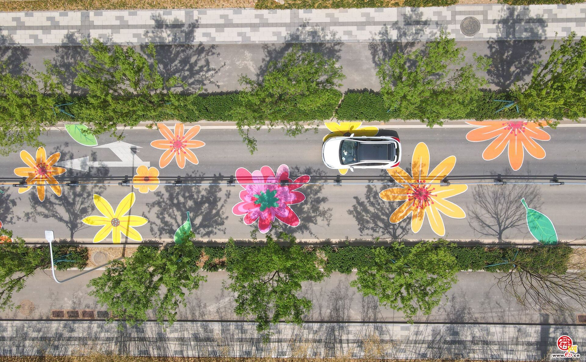 太浪漫了，济南有条“铺满鲜花”的路!