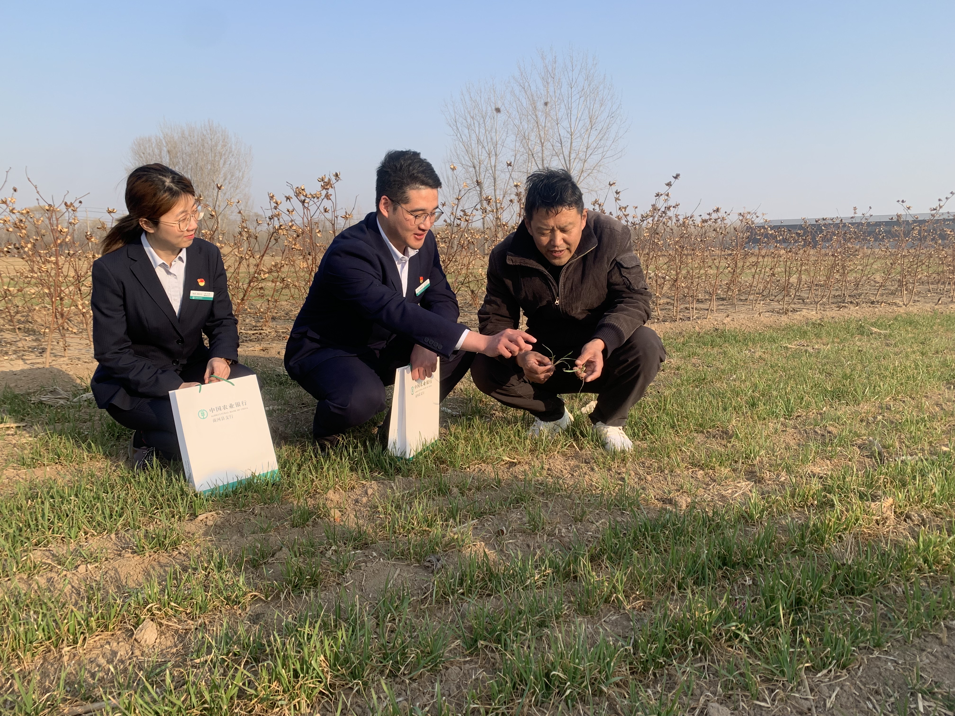 农行济南分行 与城市携手共进,服务泉城经济高质量发展