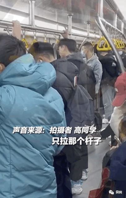 “这就是山东人的身高吗”冲上热搜