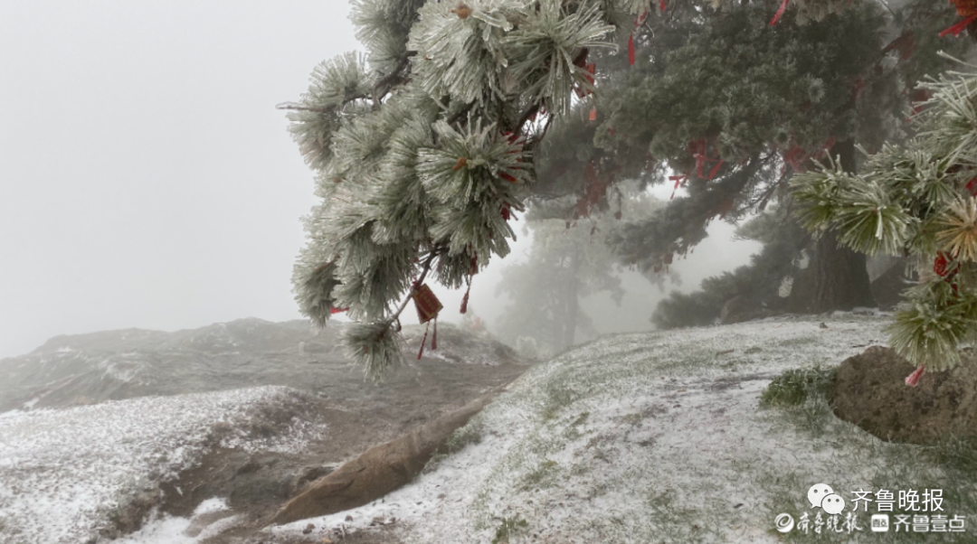 刚刚，山东这里下雪了！强冷空气继续发威，多地再遇“换季式”降温