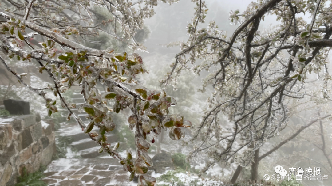 刚刚，山东这里下雪了！强冷空气继续发威，多地再遇“换季式”降温