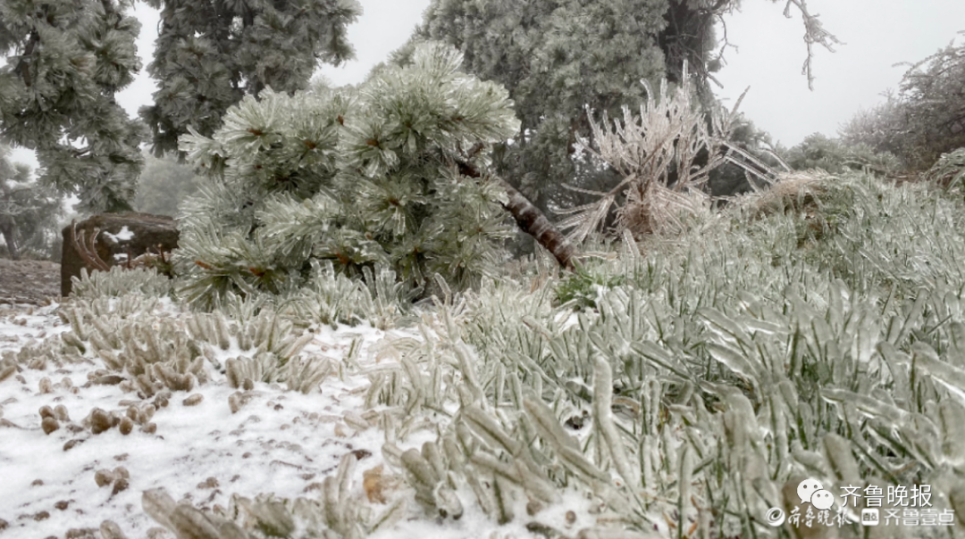 刚刚，山东这里下雪了！强冷空气继续发威，多地再遇“换季式”降温