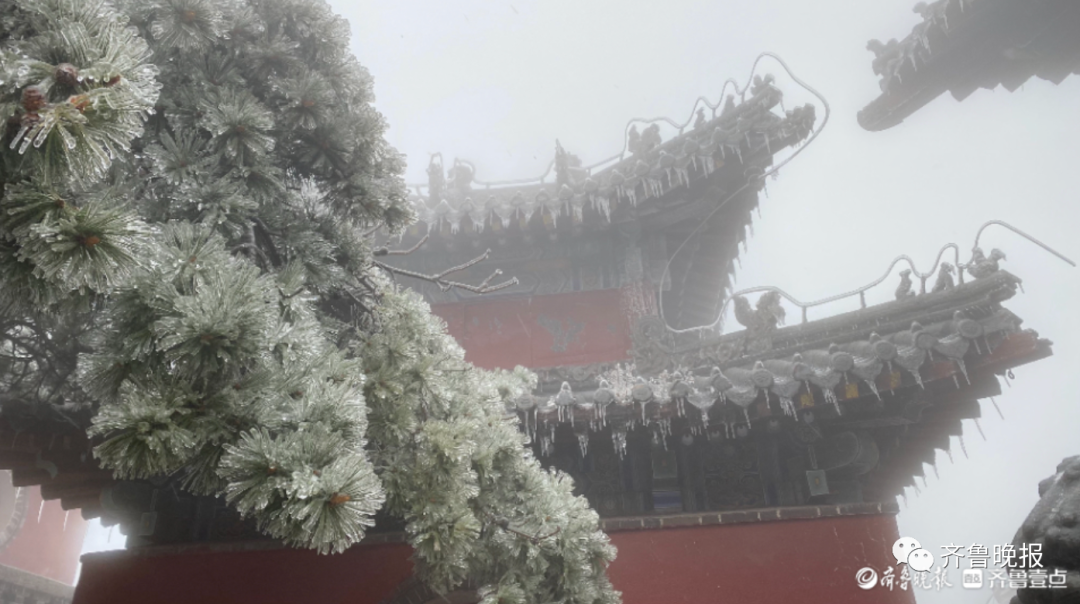 刚刚，山东这里下雪了！强冷空气继续发威，多地再遇“换季式”降温