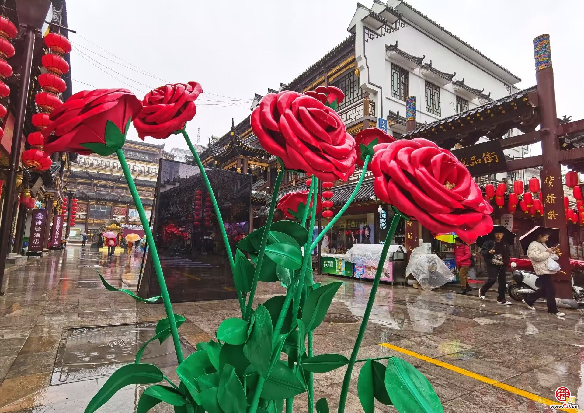 巨型“玫瑰花束”扮靓91岁大观园