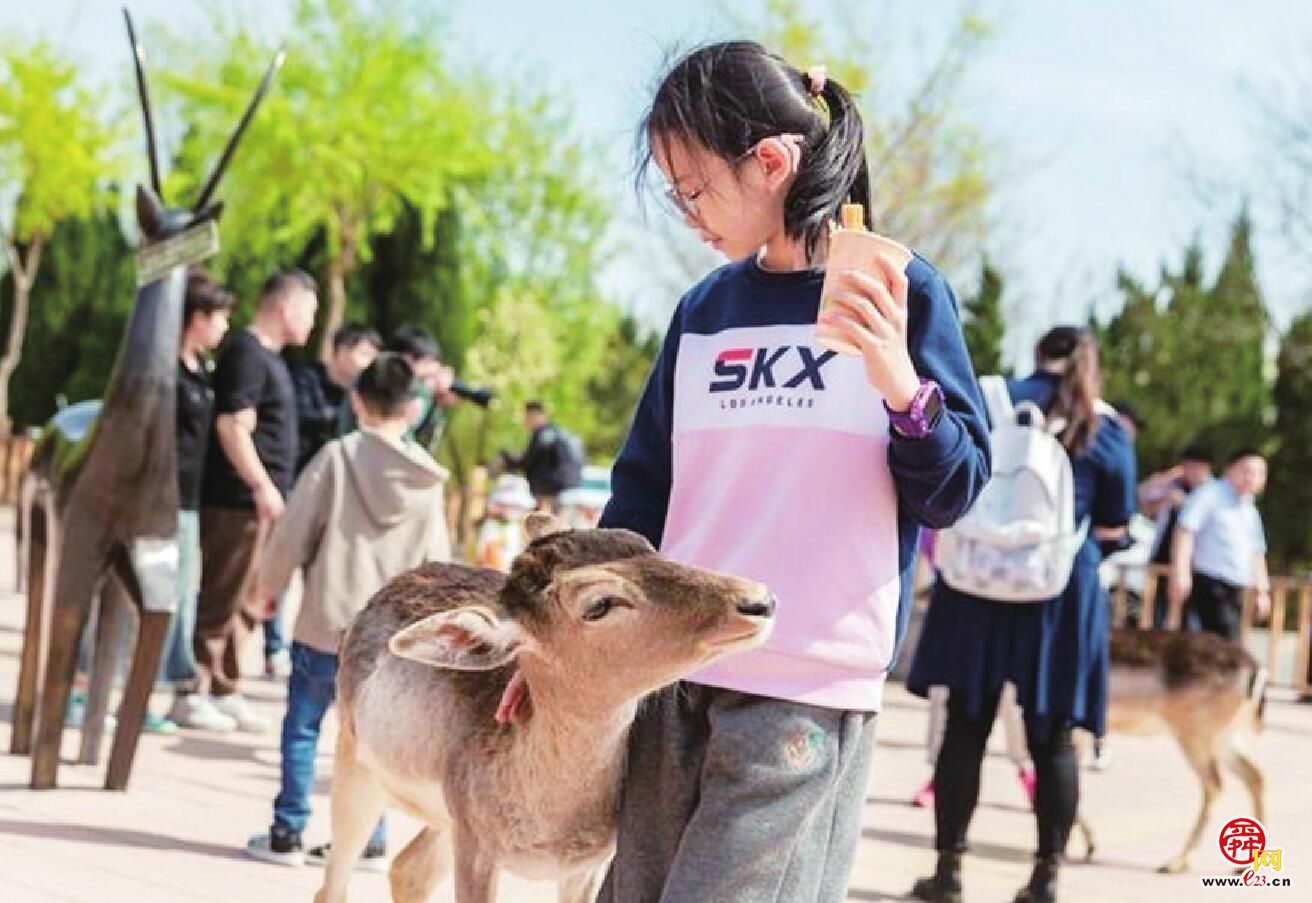 旅游市场加速复苏 “五一”出行热度高涨