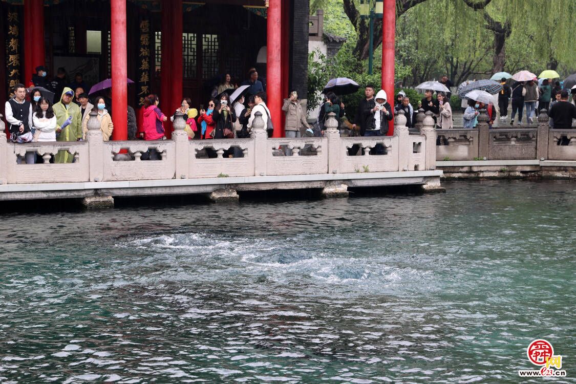 春雨连绵济南趵突泉地下水位回升，“趵突腾空”胜景已持续290余天