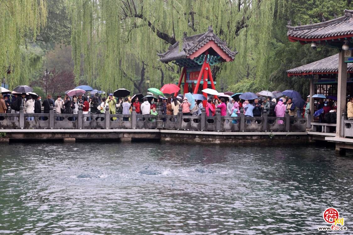 春雨连绵济南趵突泉地下水位回升，“趵突腾空”胜景已持续290余天