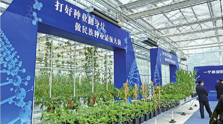 济南拿到全国首个基因编辑安全证书 基因编辑将驶入产业化快车道