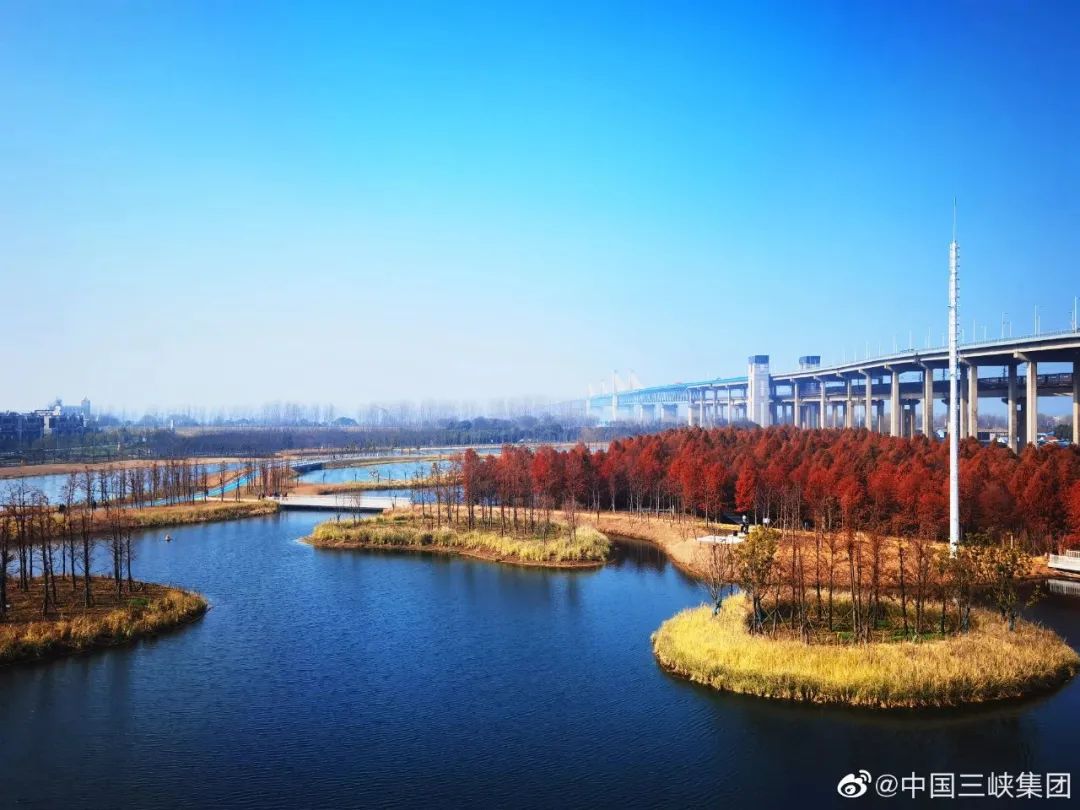 “挖呀挖呀挖”太上头！！！国家队出手→