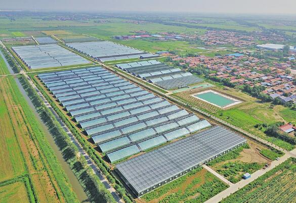 Shandong Building National Technological Innovation Center for Comprehensive Utilization of Saline-Alkali Land in Three Stages