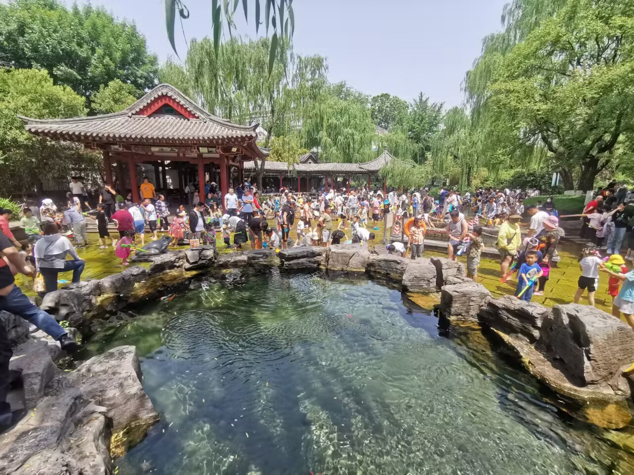 亲泉戏水避炎热 清爽快乐享清凉