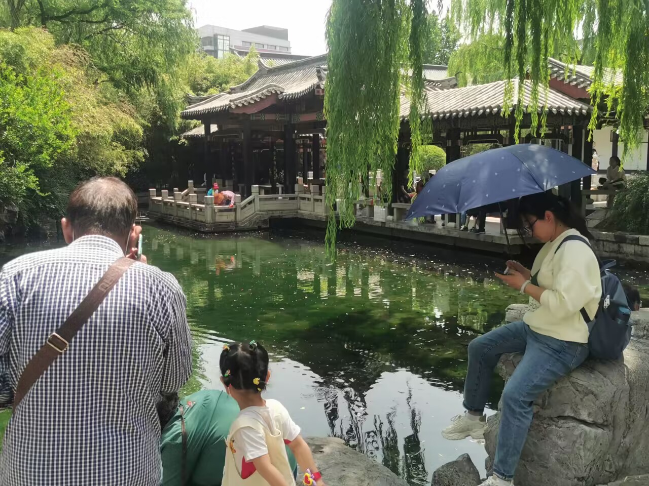 亲泉戏水避炎热 清爽快乐享清凉