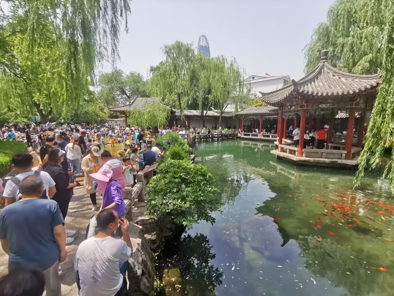 亲泉戏水避炎热 清爽快乐享清凉