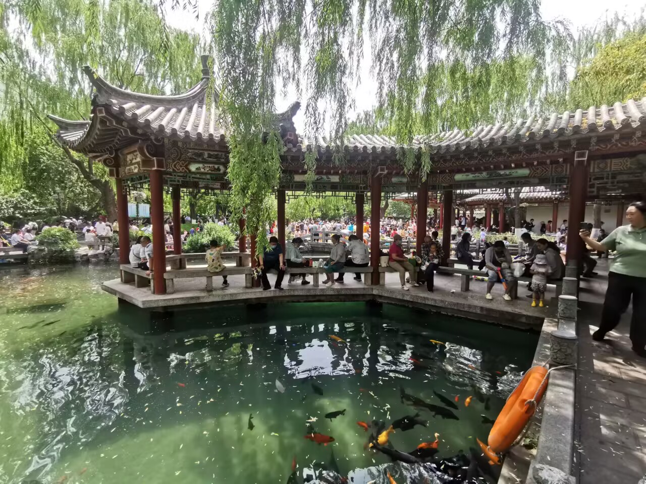 亲泉戏水避炎热 清爽快乐享清凉