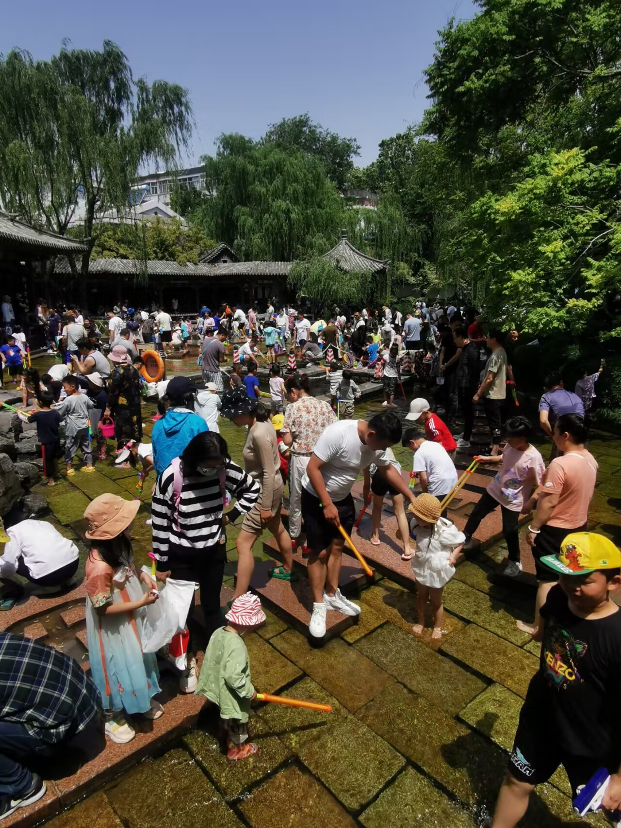 亲泉戏水避炎热 清爽快乐享清凉