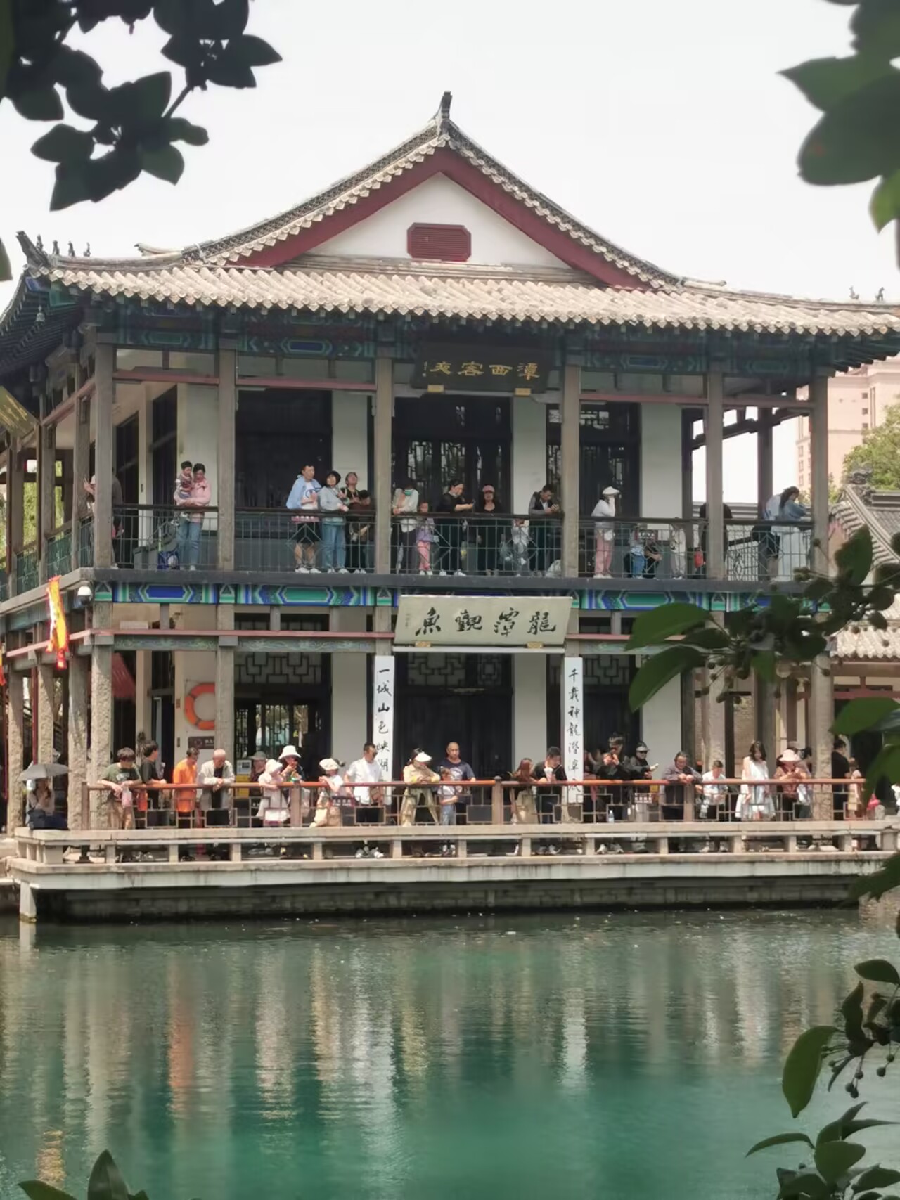 亲泉戏水避炎热 清爽快乐享清凉