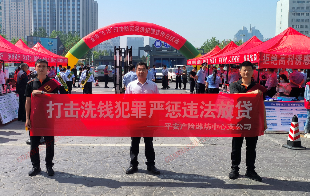 山东平安产险潍坊支：积极开展“打击防范经济犯罪”宣传活动