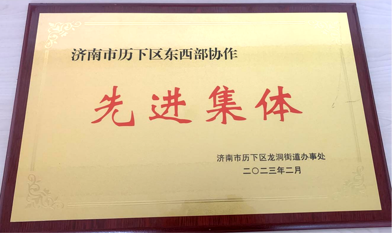 太平人寿济南中支获评 “济南市历下区东西部协作先进集体”
