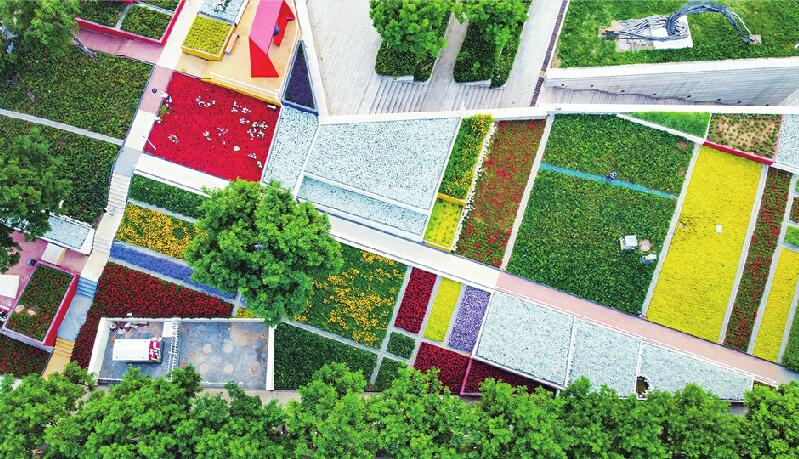 “七彩花田”形成多彩美学空间